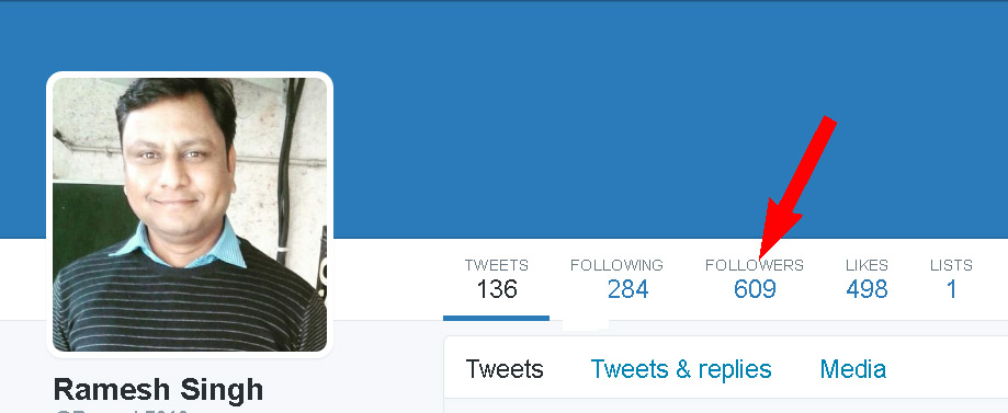 Twitter Spam Followers