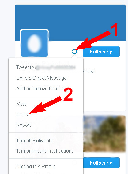 Twitter Spam Followers