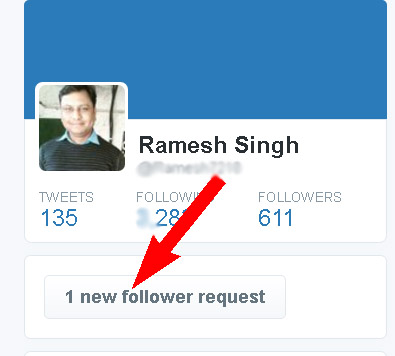 twitter follow request